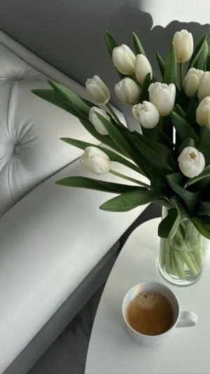 Hoa tulip trắng trong gió