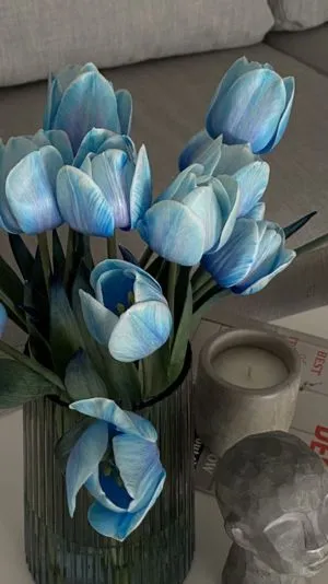Hoa tulip xanh thanh bình