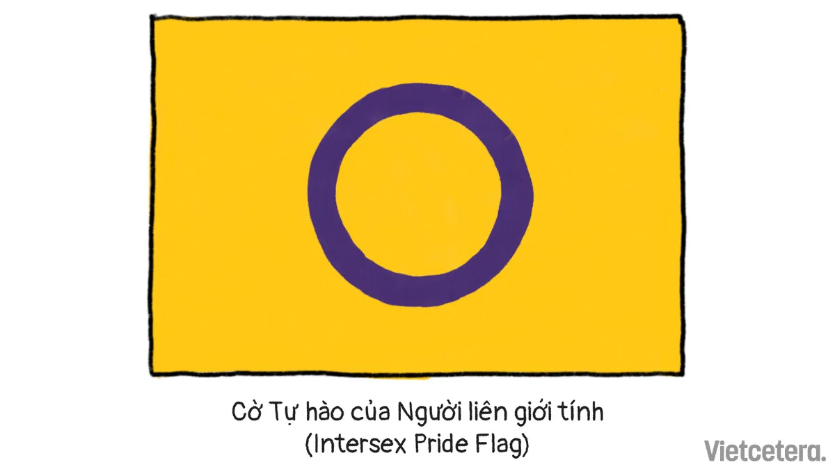 Cờ Tự Hào của Người Liên Giới Tính (Intersex Pride Flag)