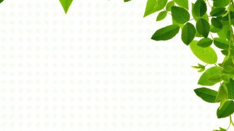 Họa tiết cây cối và hoa lá cho slide PowerPoint