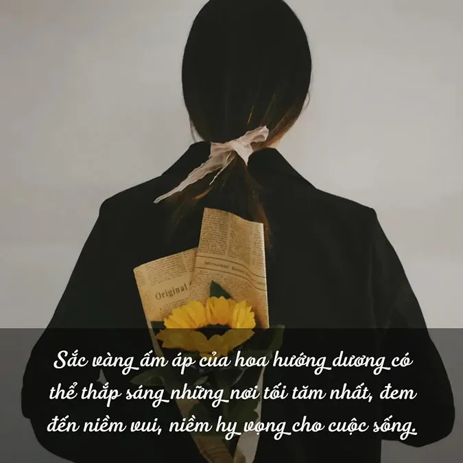 Cánh đồng hoa hướng dương rực rỡ dưới ánh nắng ban mai, biểu tượng của sự lạc quan và mạnh mẽ trong cuộc sống.