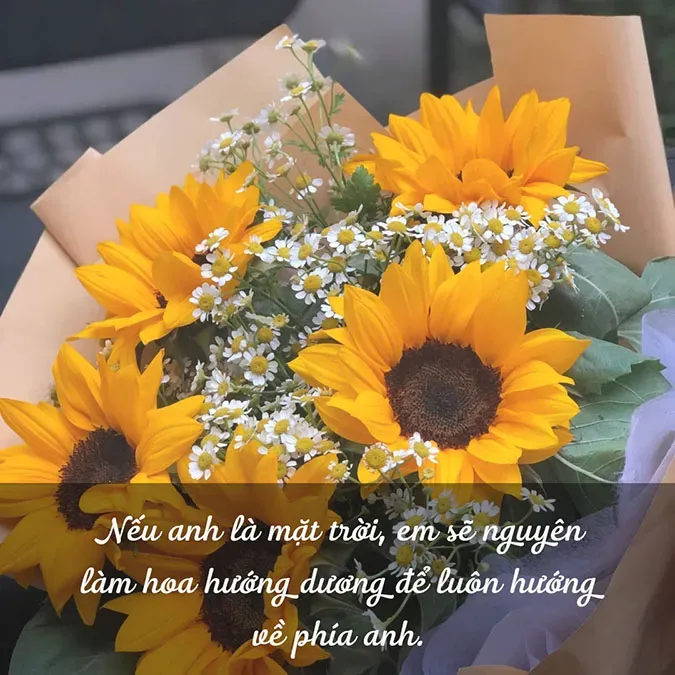 Hai bông hoa hướng dương kề bên nhau, biểu tượng cho sự gắn kết và lòng chân thành trong tình yêu đôi lứa.