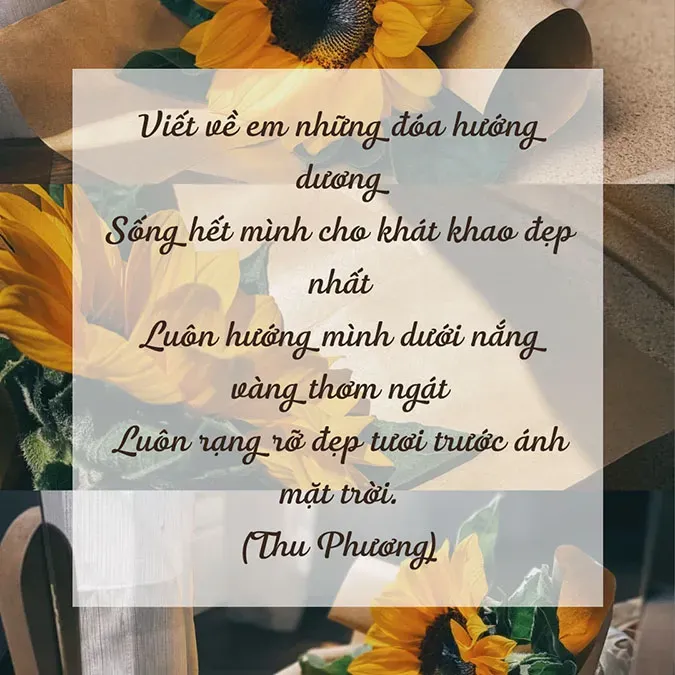 Cánh đồng hoa hướng dương mênh mông, truyền cảm hứng về những bài thơ ca ngợi vẻ đẹp và ý nghĩa của loài hoa này.