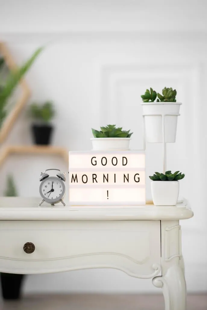 Cây sen đá tươi tốt vươn mình đón nắng, mang ý nghĩa về sự bền bỉ và vẻ đẹp tự nhiên.