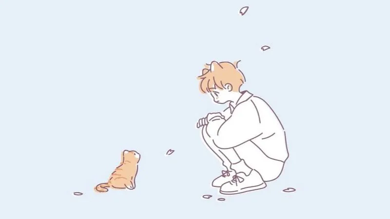 mèo anime biểu cảm ngộ nghĩnh