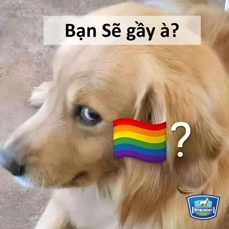 Meme cô gái hoạt hình với biểu cảm xấu hổ, hai tay che mặt và má đỏ ửng