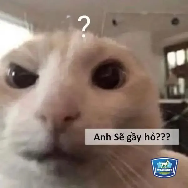 Meme nhân vật hoạt hình với gương mặt đầy biểu cảm, ánh mắt bối rối và má hơi đỏ