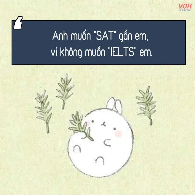 Thả thính tiếng Anh vừa hiện đại vừa thể hiện sự tinh tế