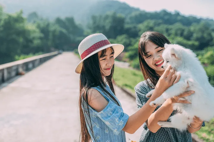STT chất thể hiện tình chị em thân thiết và bền chặt