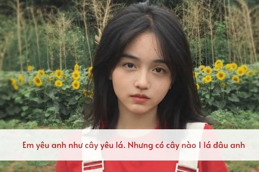 Hình ảnh vui nhộn với cap hay cho ảnh đại diện ngắn, mang lại tiếng cười và sự hài hước cho người xem