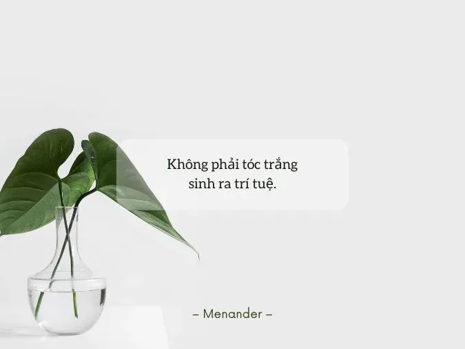 Hình ảnh một phụ nữ tự tin trong trang phục màu trắng