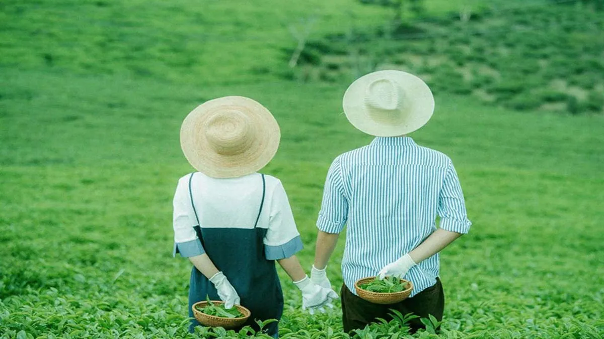 Đôi tình nhân ngắm cảnh hoàng hôn, biểu tượng cho thơ tỏ tình độc đáo và lãng mạn